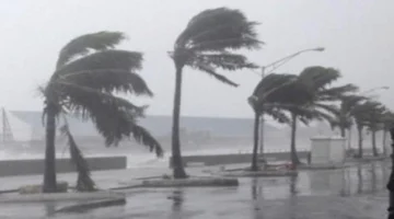 شبورة أمطار ورياح نشطة.. طقس شتوي متقلب اليوم وفق الأرصاد